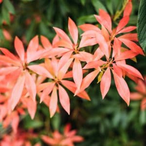 venue-2-private-ayurvedic-retreat-uk-tri-dosha venue-2-private-ayurvedic-retreat-uk-tri-dosha