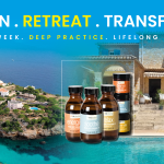 TRAIN | RETREAT | TRANSFORM